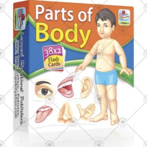 Parts of Body Mini Flash Cards