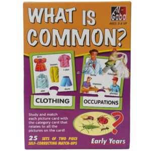 What is Common Flash Cards