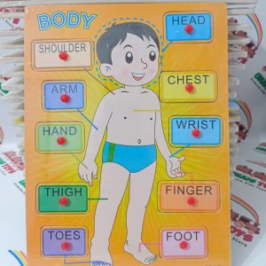Body Parts Wooden Knob Board