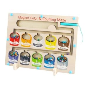 Color and Counting Magnetic Maze