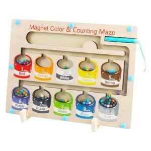 Color and Counting Magnetic Maze