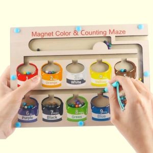 Color and Counting Magnetic Maze