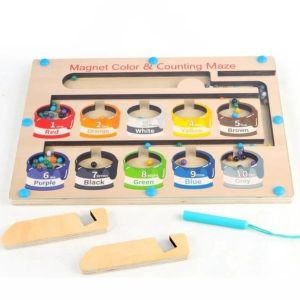 Color and Counting Magnetic Maze