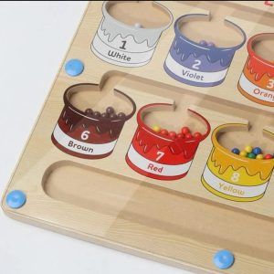 Color and Counting Magnetic Maze