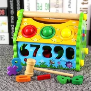 Multifunctional Wisdom House