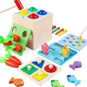 5 in 1 educational box